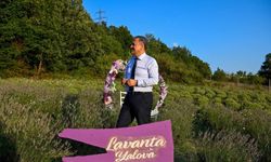 Yalova'nın Huzur Rotası: Lavanta Yalova Ziyaretçilerini Bekliyor