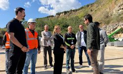 Altınova’da Sahipsiz Hayvanlar İçin Örnek Proje: Doğal Yaşam Alanı Geliyor