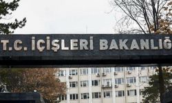 81 İLDE DÜZENSİZ GÖÇ DENETİMİ: 230 GÖÇMEN YAKALANDI