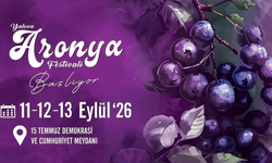 Yalova Aronya Festivali 2026: Tarih ve Yer Belli Oldu