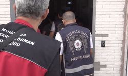 81 İlde Gıda Güvenliği Operasyonu: 61 Milyon TL’lik Sahte ve Tağşiş Ürün Ele Geçirildi