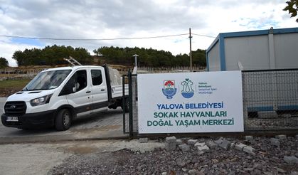 Sokak Hayvanları Doğal Yaşam Merkezi Ziyaretçilere Kapılarını Açıyor