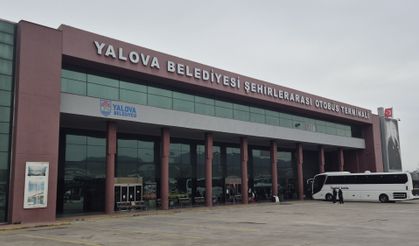 Yalova Otobüs Terminali Yanında İnekler Otladı: Vatandaş Tepkili