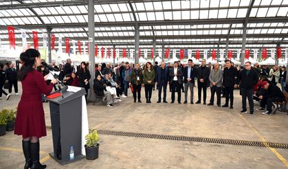 Yalova, Atalık Tohum Takas Şenliği ile Renklendi