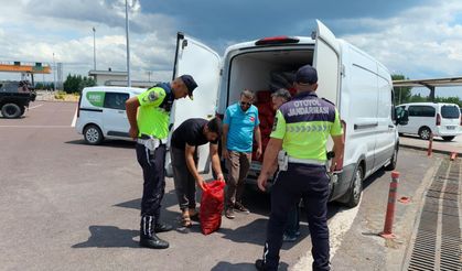 Yalova'da Kaçak Midye Operasyonu: 3 Ton Belgesiz Kara Midye Ele Geçirildi