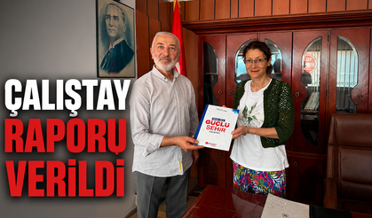 Çalıştay Raporu verildi