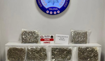 Yalova’da Narkotik Operasyonu: 11 Kilo Uyuşturucu Ele Geçirildi, 2 Şüpheli Tutuklandı