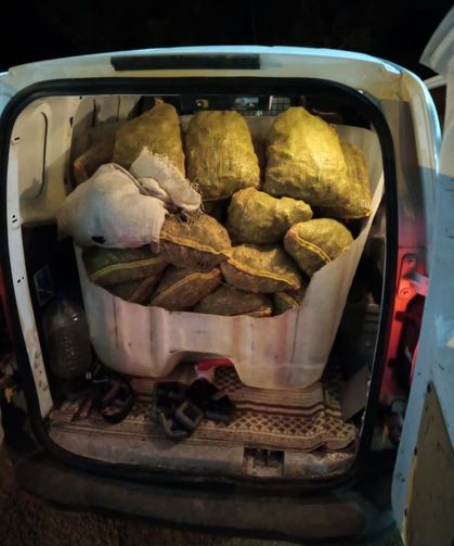 Yalova Armutlu’da Kaçak Midye Operasyonu: 500 Kilo Midye Ele Geçirildi