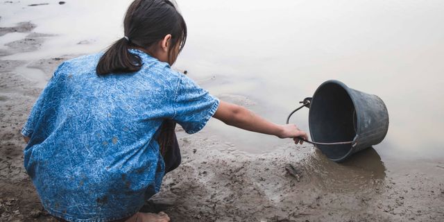 Su ve Orman Alarmı: TEMA’dan Kritik Uyarı — En Çok Kadınlar ve Çocuklar Etkileniyor SEO Başlık: