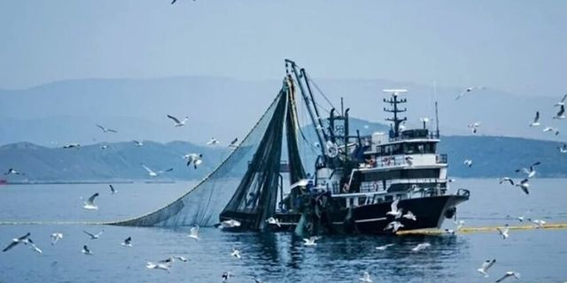 Balıkçılıkta Av Sezonu Yarın Sona Eriyor: Büyük Tekneler İçin Yasak Başlıyor