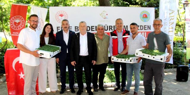 Armutlu’da Üreticilere 20 Bin Sebze Fidesi Desteği