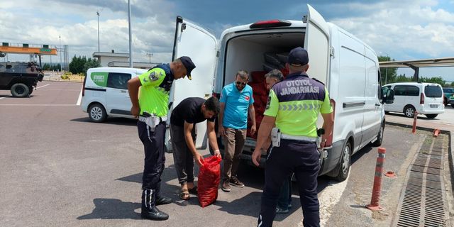 Yalova'da Kaçak Midye Operasyonu: 3 Ton Belgesiz Kara Midye Ele Geçirildi