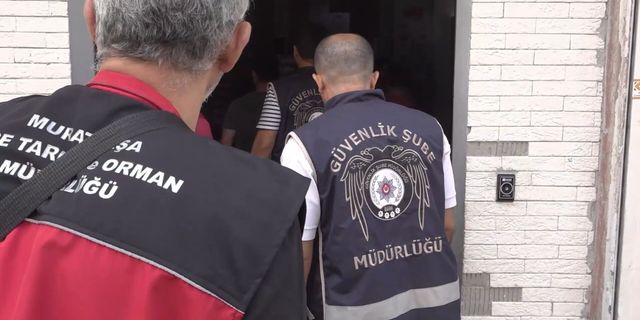81 İlde Gıda Güvenliği Operasyonu: 61 Milyon TL’lik Sahte ve Tağşiş Ürün Ele Geçirildi