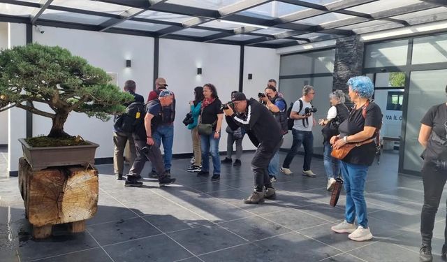 Yalova Bonsai Müzesi’ni 3 bin 500 kişi ziyaret etti