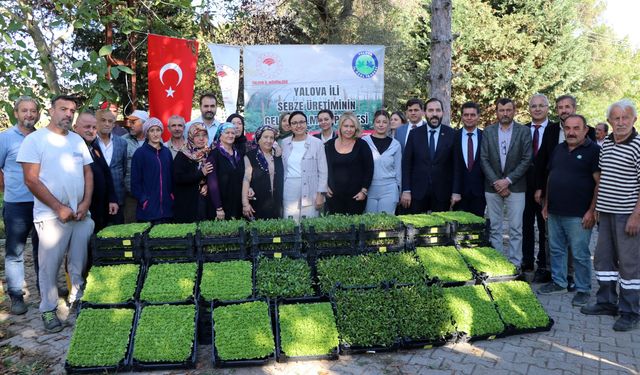 Yalovalı çiftçiye 500 bin fide dağıtıldı