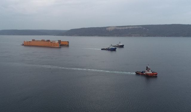 Çanakkale Boğazı’nda Dourado alarmı: Yalova’ya geliyor