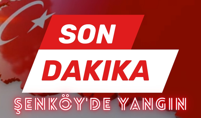 Şenköy’ün ormanları (ciğerimiz) yanıyor