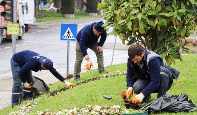 Tonami Meydanı Yaza Hazırlanıyor