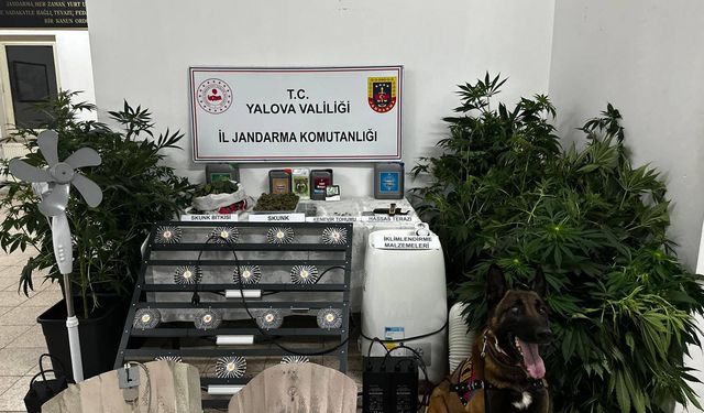 Jandarma'dan İklimlendirmeli Seraya Operasyon