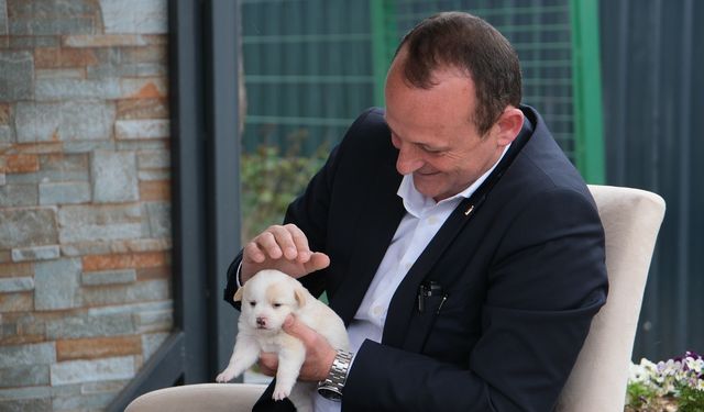 Çiftlikköy Belediyesi Sokak Hayvanlarının Yanında