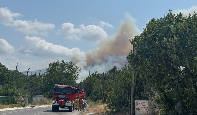 Çanakkale’de Tarım Arazisinde Başlayan Yangın Ormana Sıçradı: Boğaz Gemi Trafiğine Kapatıldı