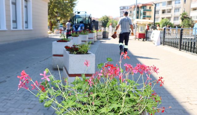 Yalova Belediyesi’nden Şehre Estetik Dokunuşlar  Yalova Belediyesi Temizlik İşleri