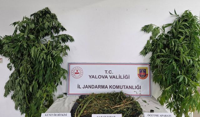 Yalova’da Jandarmadan Uyuşturucu Operasyonu: 2 Kişi Tutuklandı