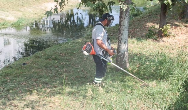 Yalova Belediyesi’nden Derelerde Temizlik Seferberliği