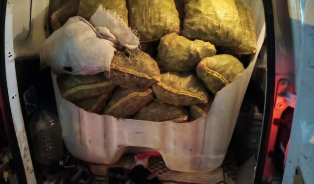 Yalova Armutlu’da Kaçak Midye Operasyonu: 500 Kilo Midye Ele Geçirildi