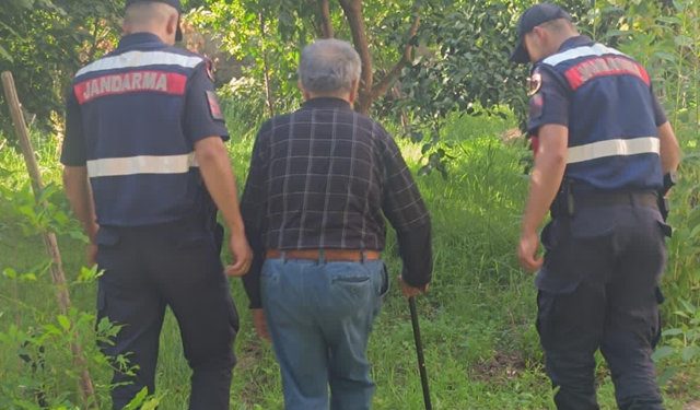 Yalova Termal’de Alzheimer Hastası Yaşlı Kadın Ormanlık Alanda Bulundu