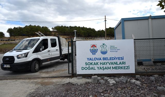 Dünya Hayvanları Koruma Günü’nde Anlamlı Açılış: Sokak Hayvanları Doğal Yaşam Merkezi Hizmete Girdi