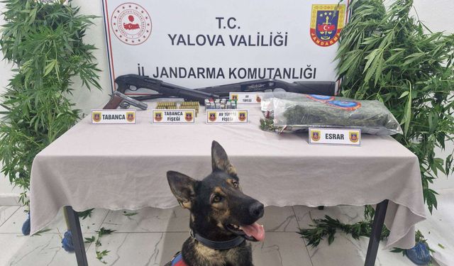Yalova’da Uyuşturucu Operasyonu: 2 Şüpheli Yakalandı
