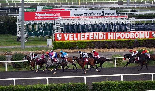 Yürüyen Köşk Koşusu 9 Kasım’da Veliefendi Hipodromu’nda Düzenlenecek