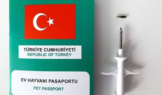 Soğuk Hava Alarmı: İstanbul ve Marmara’da Sıcaklıklar 8 Derece Birden Düşecek