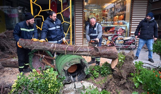Yalova Belediyesi Fırtınaya Karşı Alarmdaydı: 350 Olaya Anında Müdahale