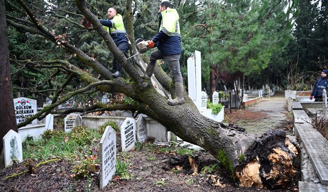 Şiddetli Fırtına Şehir Mezarlığı’nda Hasara Yol Açtı