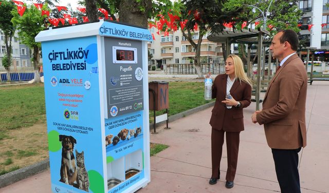 Çiftlikköy’de Atıklar Umuda Dönüştü: Sokak Hayvanlarına 12 Ton Mama