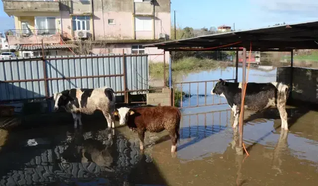 Antalya’da Kuvvetli Yağış 6 İlçede Hayatı Felç Etti – Evler, Bahçeler ve İşletmeler Sular Altında Kaldı