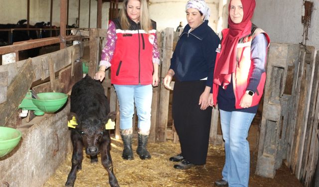 Kırsalda Bereket Projesi Yalova’da İlk Sonuçlarını Verdi