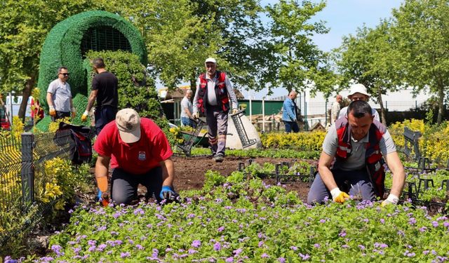 Yalova’da Yeşil Alanlara Yıl Boyu Bakım: 265 Bin Çiçek Dikildi
