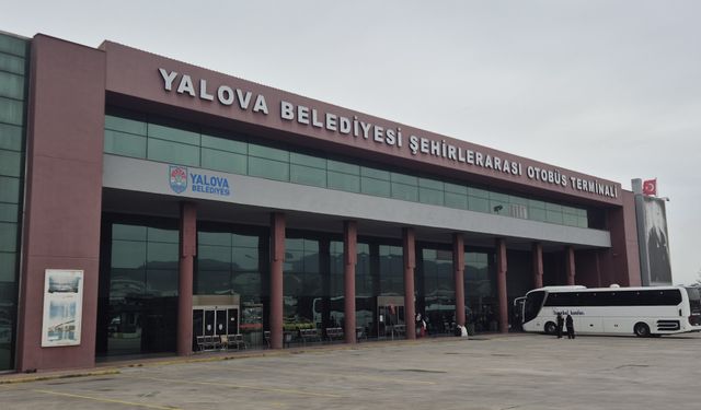 Yalova Otobüs Terminali Yanında İnekler Otladı: Vatandaş Tepkili