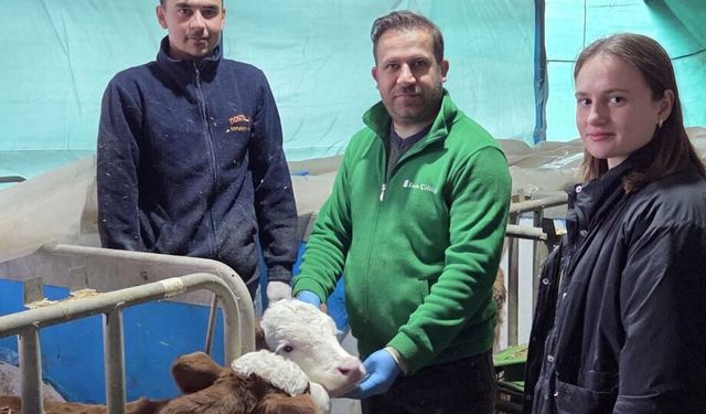 2026 İlkbahar Dönemi Şap Aşılama Kampanyası Başladı