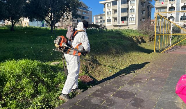 Altınova Bahara Hazırlanıyor: İlçede Kapsamlı Çalışmalar Başladı