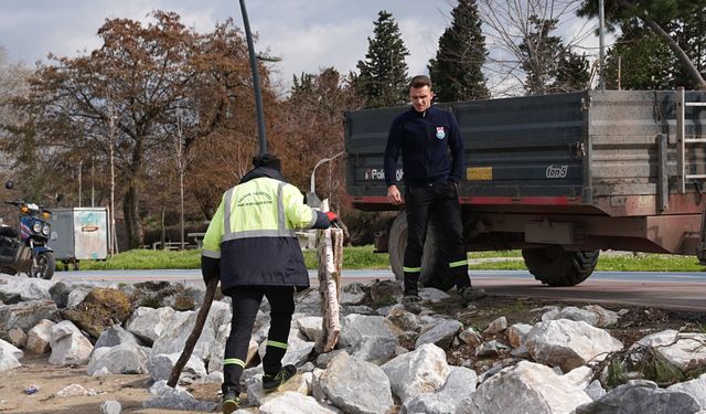 Yalova’da Doğu Sahil Bandı’nda Yoğun Temizlik Mesaisi