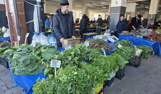 Yalova’da Örtüaltı Sebze Üretim Alanlarında Entegre Mücadele Çalışmaları Sürüyor