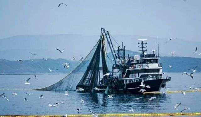 Balıkçılıkta Av Sezonu Yarın Sona Eriyor: Büyük Tekneler İçin Yasak Başlıyor
