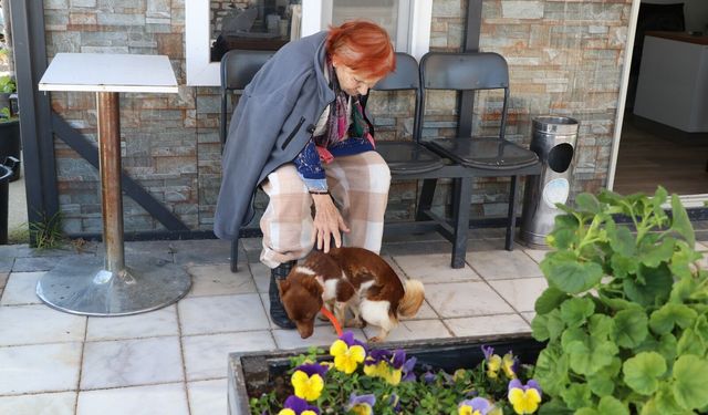 Çiftlikköy’de Duygulandıran Buluşma: 90 Yaşındaki Cevriye Teyze Köpeği Fındık’la Kavuştu