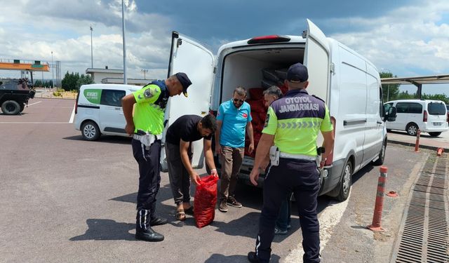 Yalova'da Kaçak Midye Operasyonu: 3 Ton Belgesiz Kara Midye Ele Geçirildi