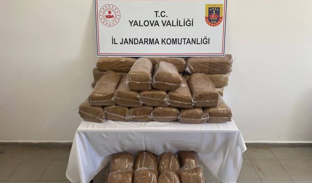 Yalova'da Kaçak Tütün Operasyonu: İşletmede 160 Kilogram Bandrolsüz Tütün Ele Geçirildi