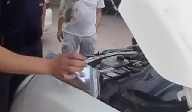 Yalova'da Otomobile Sıkışan Minik Kedi İtfaiye Tarafından Kurtarıldı